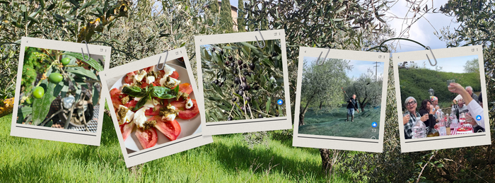 Toscan Olive Garden